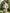 The Atelier Suit Experience